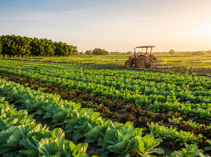 Green Agriculture